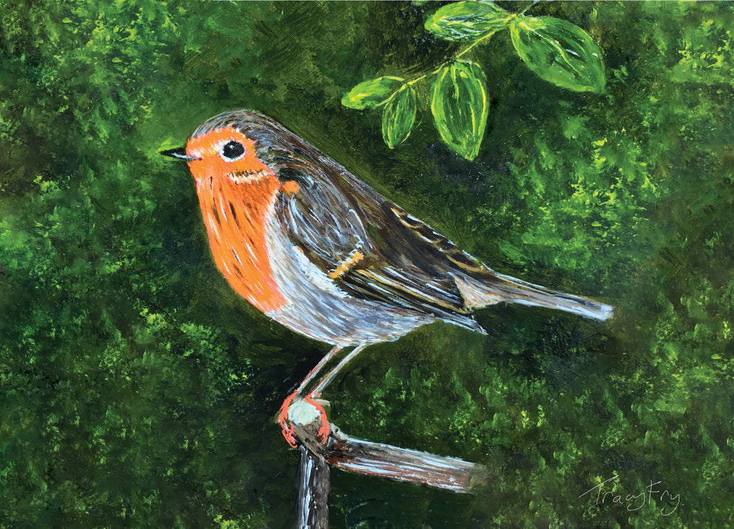 Robin on a branch greeting card
